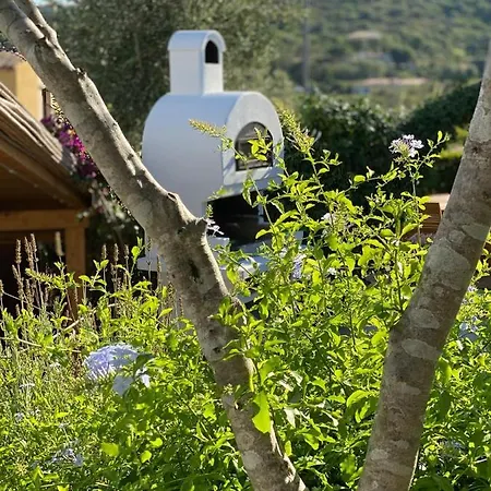 Βίλα Linda Sardegna Όλμπια