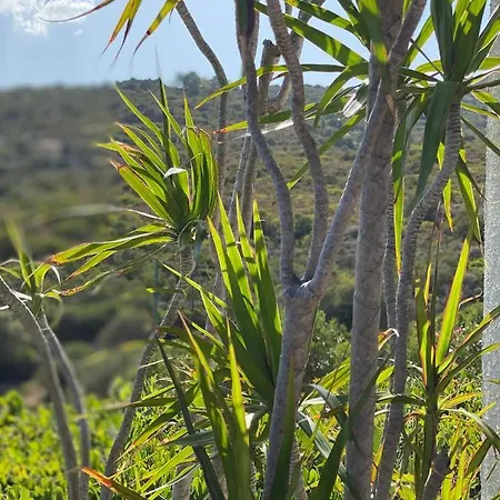 Βίλα Linda Sardegna Όλμπια